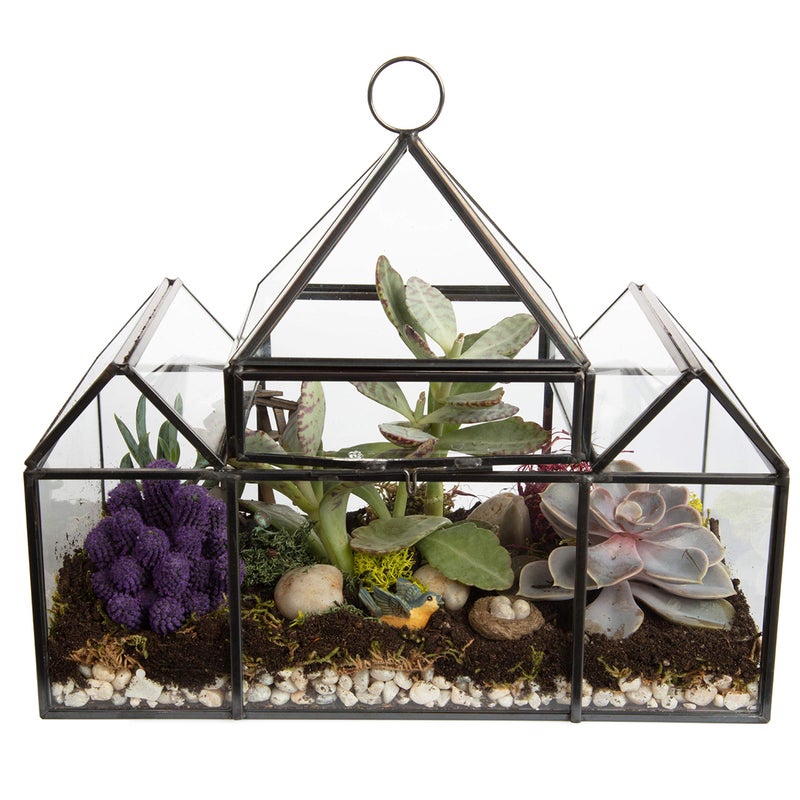 DECO D'Eco Glass Castle Plant Terrarium (10x4.5x9) - Tabletop & Hanging Black Geometric Planter - Succulents, Air Plants, Moss - Summer Home, Garden Office & Wedding Botanical Decor - Gift for Plant Lovers - Image 1